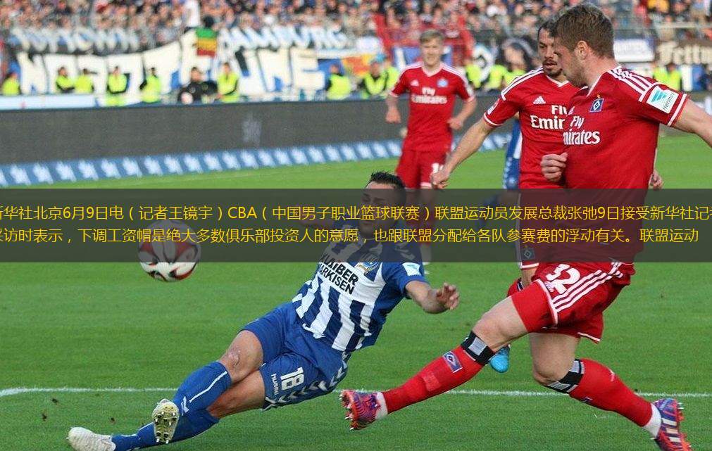 歷不僅提供