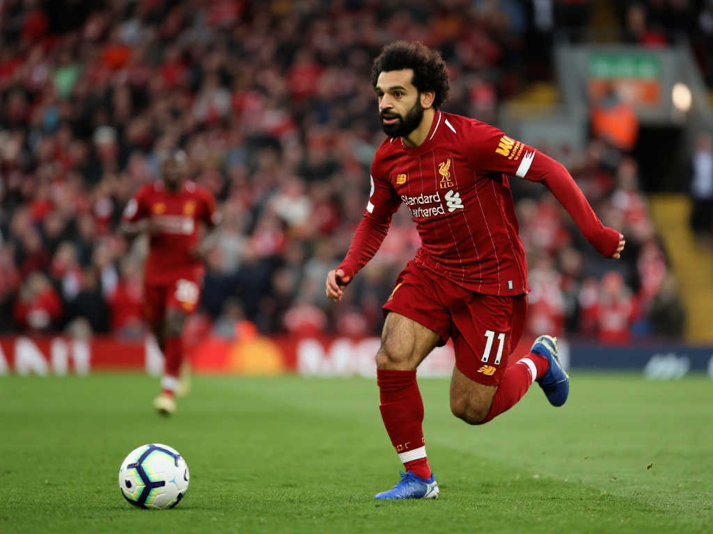 员提供了一 员提供了一